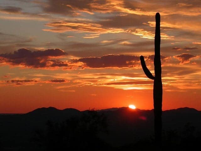 Mesa, Arizona, much like the rest of the Valley, benefits from Phoenix Title Loans!