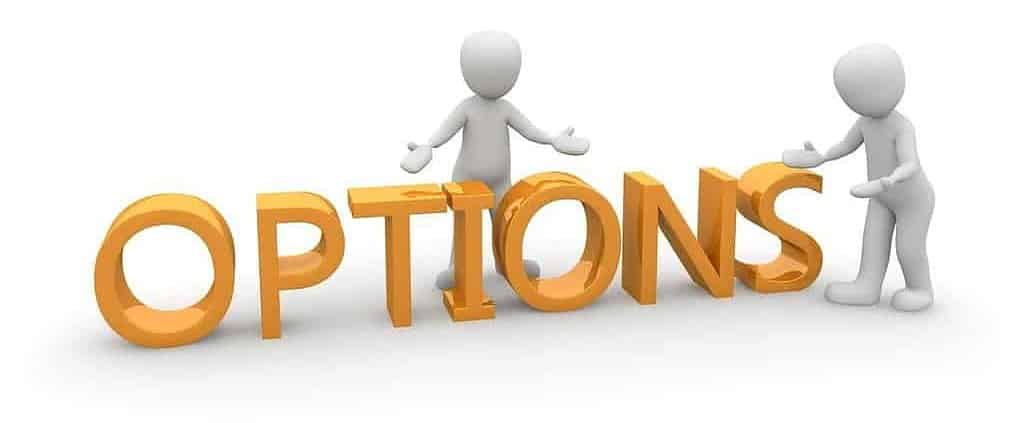 Money Options are a great thing; Phoenix Title Loans has the options for YOU!