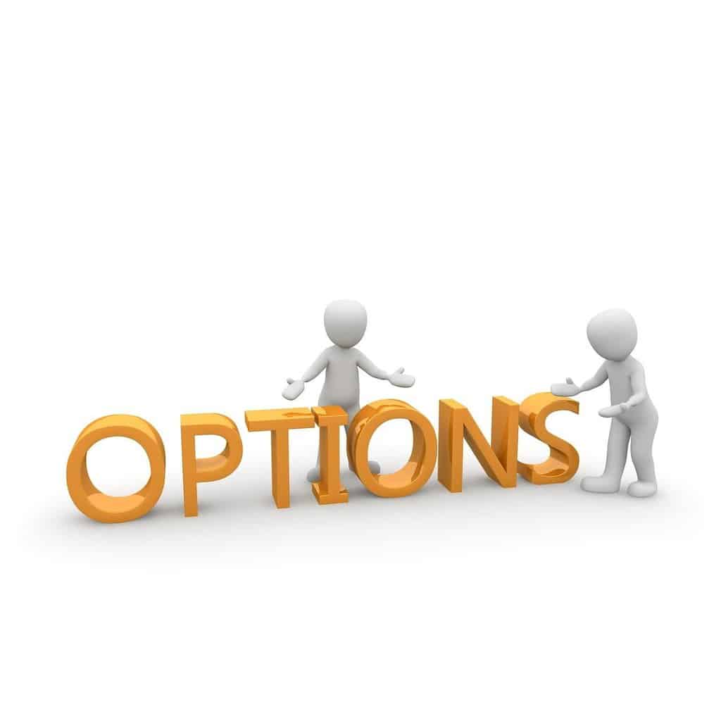Options are a great thing; Phoenix Title Loans has the options for YOU!