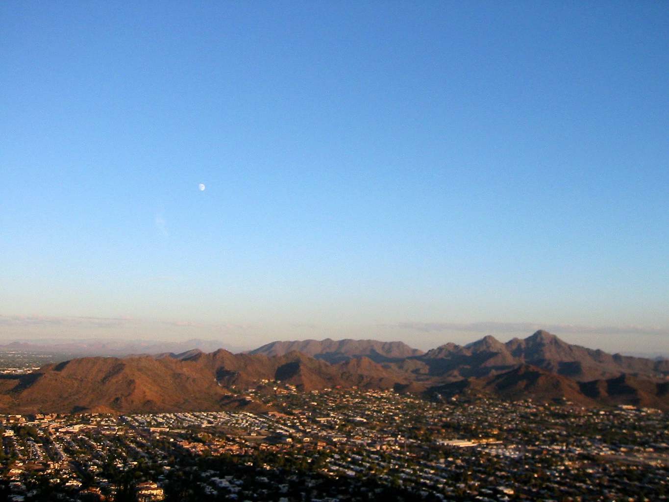 Community Fiesta in Mesa