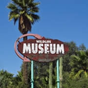 history of Mesa and a museum with an iconic sign