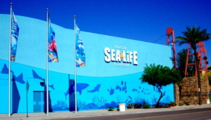 Sea Life aquarium located in Tempe 85282