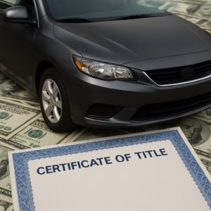 no traditional credit check